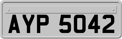AYP5042
