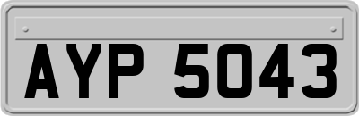 AYP5043