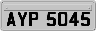 AYP5045