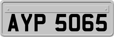 AYP5065