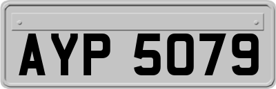 AYP5079