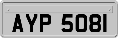 AYP5081