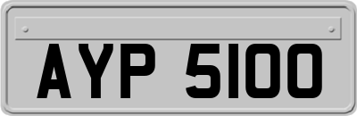 AYP5100