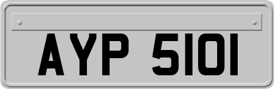 AYP5101