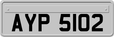 AYP5102