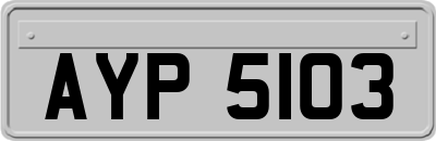 AYP5103