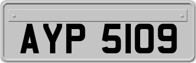 AYP5109
