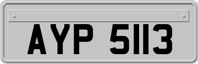 AYP5113