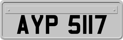 AYP5117