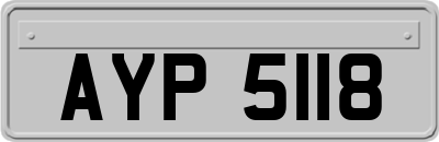 AYP5118