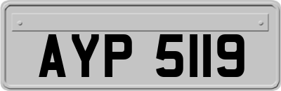 AYP5119