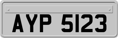 AYP5123