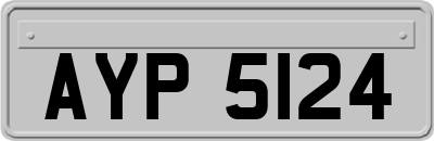 AYP5124