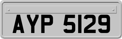 AYP5129