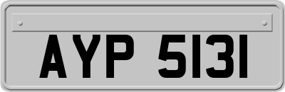 AYP5131