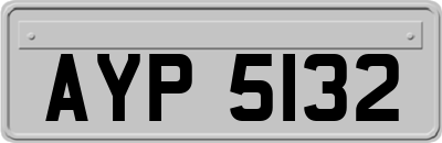 AYP5132