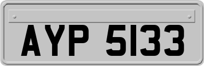 AYP5133