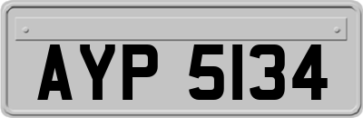 AYP5134