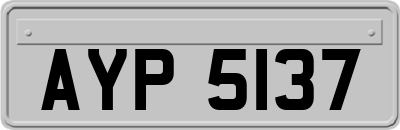 AYP5137