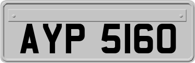 AYP5160