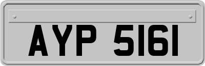 AYP5161