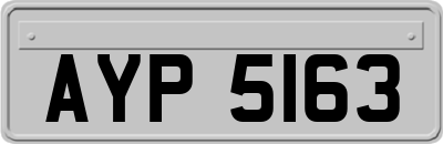 AYP5163