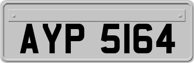 AYP5164
