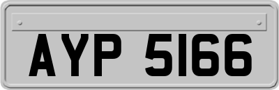 AYP5166