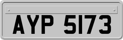 AYP5173