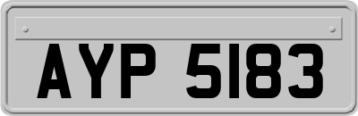 AYP5183