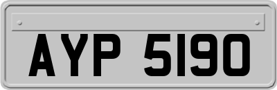 AYP5190