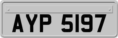 AYP5197
