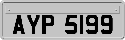 AYP5199