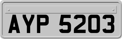 AYP5203