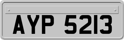 AYP5213