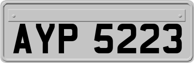 AYP5223