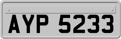 AYP5233
