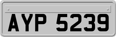 AYP5239