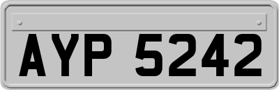 AYP5242