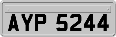 AYP5244