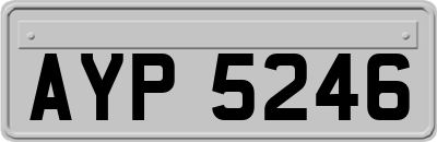 AYP5246