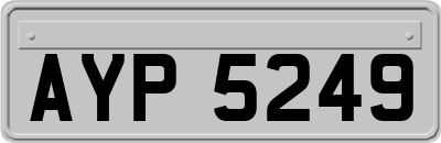 AYP5249