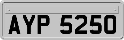 AYP5250