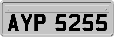 AYP5255