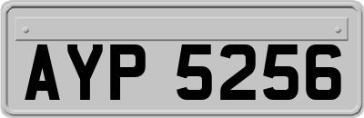 AYP5256