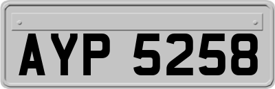 AYP5258