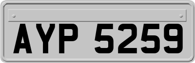 AYP5259