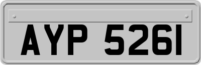 AYP5261