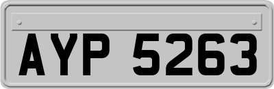 AYP5263