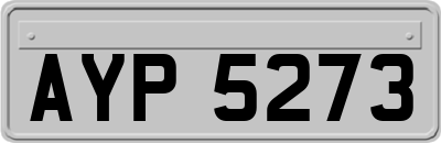 AYP5273
